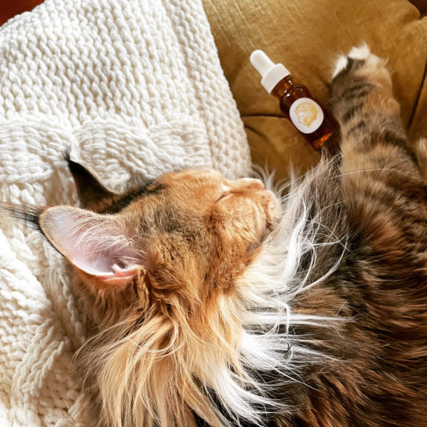 Regulus III tincture sumo Regulus III tincture sumo