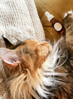 Regulus III tincture sumo