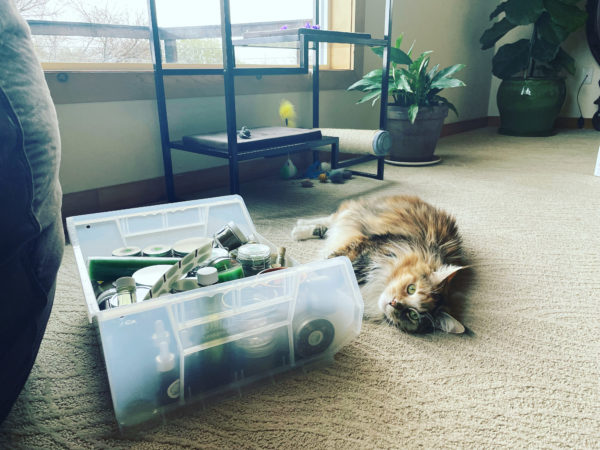 Sumo Cats Venus Aerial Delight Libra