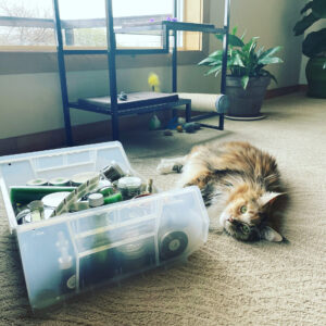 Jasmine + Vanilla Bean Whipped Body Butter