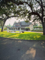 Venus Aerial Delight Libra Altar far