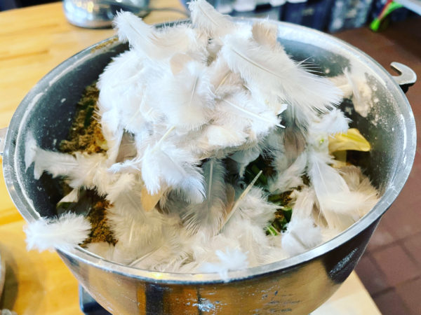 Venus Aerial Delight Libra Eirene subset dove Venus Aerial Delight Libra Eirene subset dove