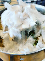 Venus Aerial Delight Libra Eirene subset dove