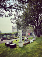 Venus Aerial Delight Libra Kaitlin Altar