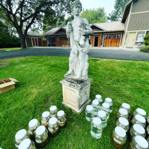 Kolonía of the Aerial Queen