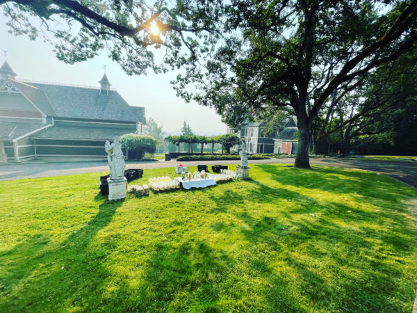 Venus Aerial Delight Libra altar main beautiful Venus Aerial Delight Libra altar main beautiful