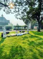 Venus Aerial Delight Libra altar main beautiful