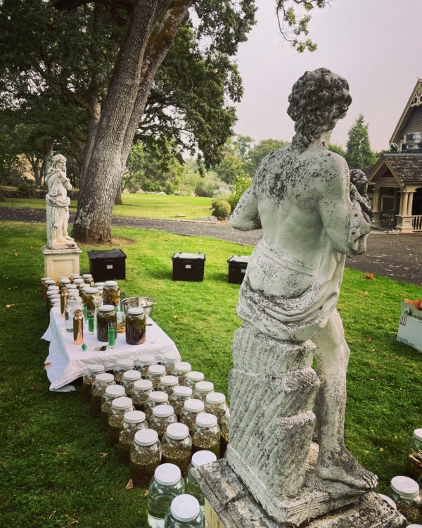 Venus Aerial Delight Libra aphrodite adonis Venus Aerial Delight Libra aphrodite adonis