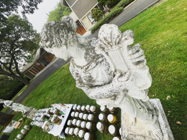 Venus Aerial Delight Libra aphrodite instrument main Venus Aerial Delight Libra aphrodite instrument main