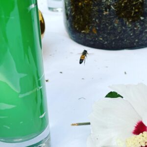 Aerial Delight Steep + Smoke