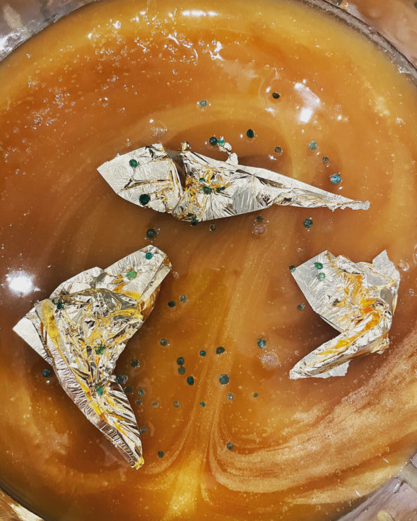 Venus Aerial Delight Libra honey Venus Aerial Delight Libra honey