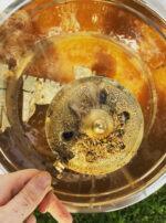 Venus Aerial Delight Libra honey main