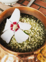 Venus Aerial Delight Libra jasmine hydrosol shimmer water