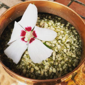 The Aerial Queen's Shimmer Water