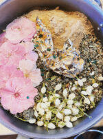 Venus Aerial Delight Libra oil incense powder jasmine