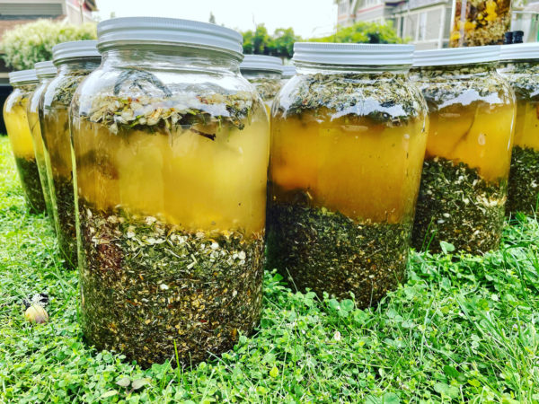 Venus Aerial Delight Libra oils eirene Venus Aerial Delight Libra oils eirene