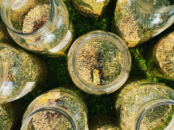 Venus Aerial Delight Libra salve Venus Aerial Delight Libra salve