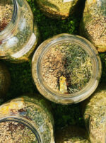 Venus Aerial Delight Libra salve