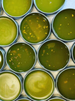 Venus Aerial Delight Libra salves 2