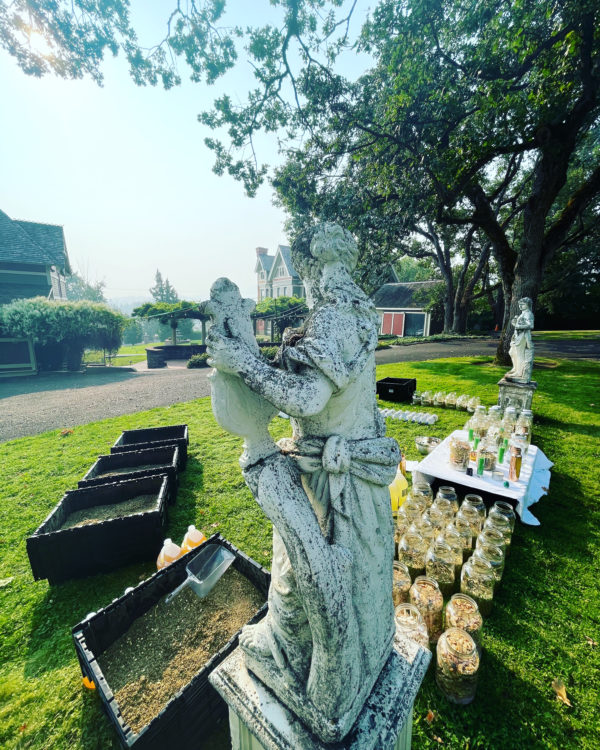 Venus Aerial Delight Libra scale main altar Venus Aerial Delight Libra scale main altar