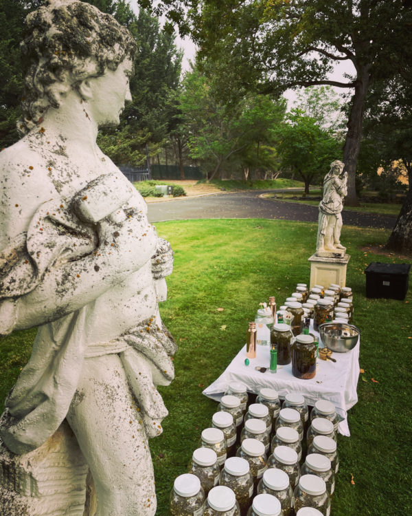 Venus Aerial Delight Libra statues looking at one another Venus Aerial Delight Libra statues looking at one another