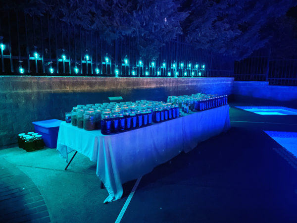 Deneb Algedi II Altar Setup Deneb Algedi II Altar Setup