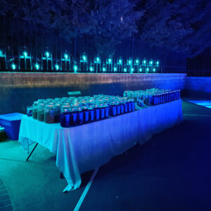 Deneb Algedi II Bath Bombs