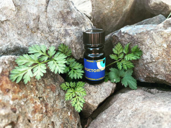 Deneb Algedi II BPAL Auctoritas