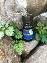 Deneb Algedi II BPAL Auctoritas