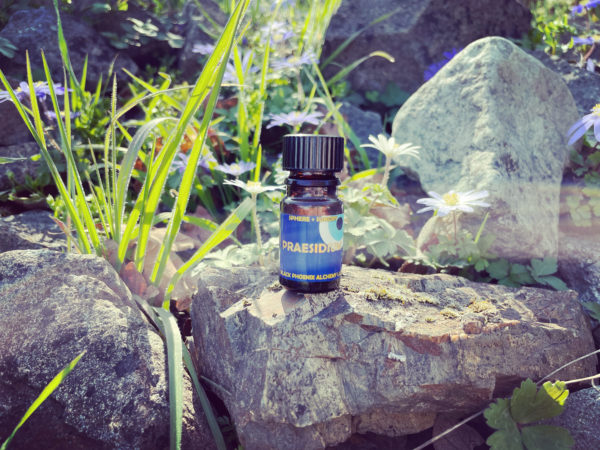 Deneb Algedi II BPAL Praesidium