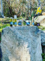 Deneb Algedi II Deneb Algedi Base Oil Incense Powder