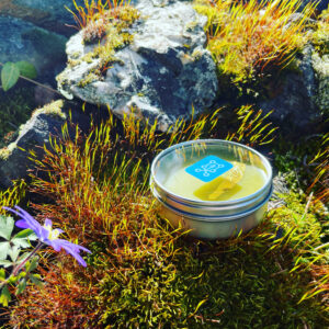 Salve of Deneb Algedi II