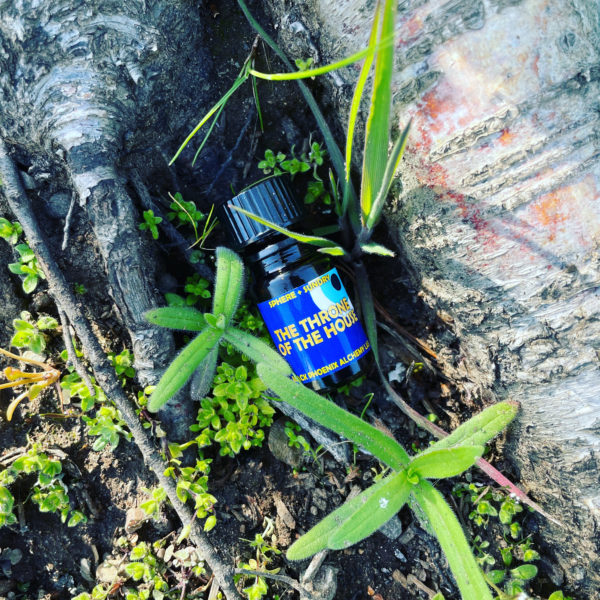 Deneb Algedi II Throne of the House BPAL Deneb Algedi II Throne of the House BPAL