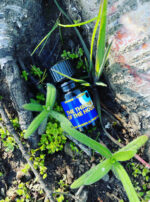 Deneb Algedi II Throne of the House BPAL