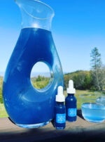 Deneb Algedi II bluing 2