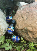 Deneb Algedi II bpal trio darker