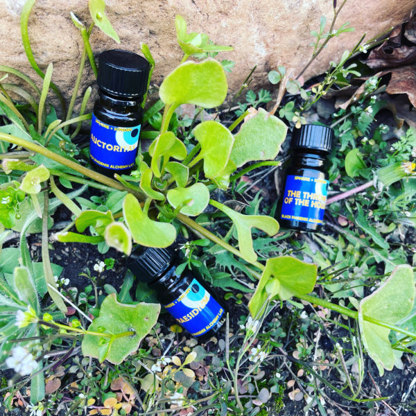 Deneb Algedi II bpals trio 3 Deneb Algedi II bpals trio 3