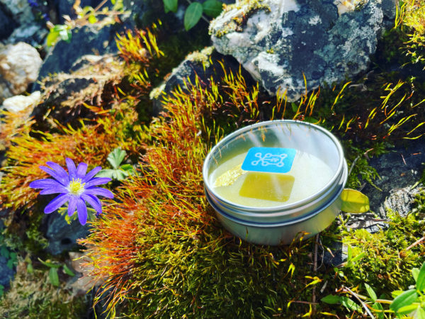 Deneb Algedi II salve 2 Deneb Algedi II salve 2