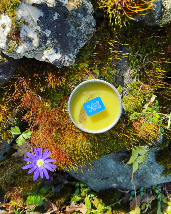 Deneb Algedi II salve 4 Deneb Algedi II salve 4