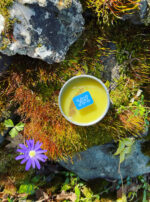 Deneb Algedi II salve 4