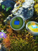 Deneb Algedi II salves two