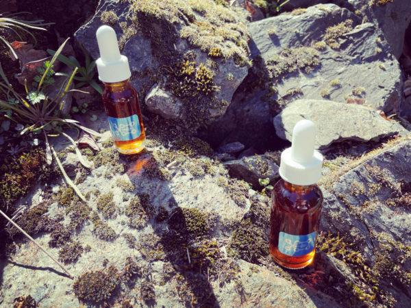 Deneb Algedi II tinctures guardians Deneb Algedi II tinctures guardians