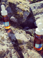 Deneb Algedi II tinctures guardians