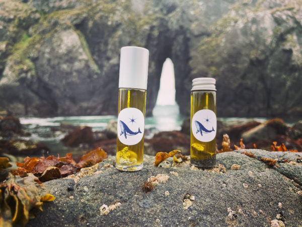 52266103-FC37-4D54-8EF6-E6258F27D012 52266103-FC37-4D54-8EF6-E6258F27D012