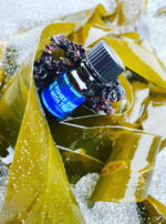 Fomalhaut BPAL Fishes Eyes