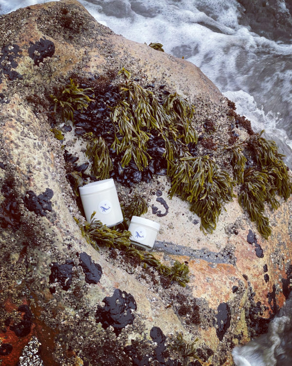 Fomalhaut Body Butter Wide Fomalhaut Body Butter Wide