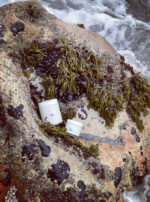 Fomalhaut Body Butter Wide