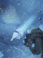 Fomalhaut Candle Offering Pilgrimage