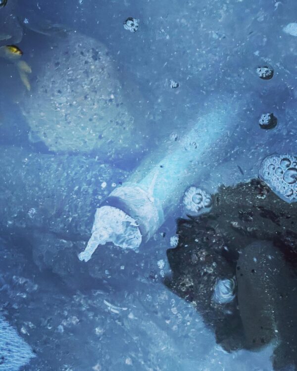 Fomalhaut Candle Offering Pilgrimage Fomalhaut Candle Offering Pilgrimage