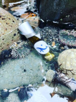 Fomalhaut Oil Roller